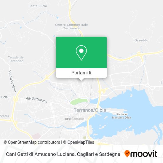 Mappa Cani Gatti di Amucano Luciana