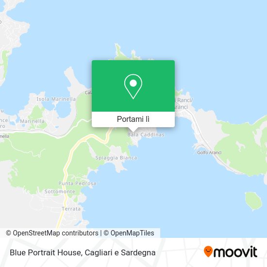 Mappa Blue Portrait House