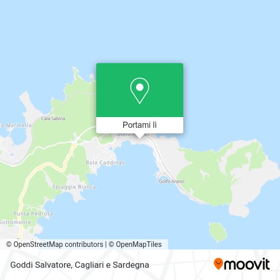 Mappa Goddi Salvatore