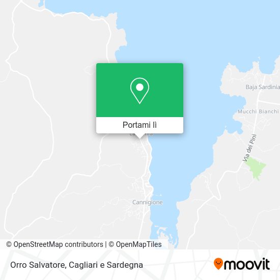 Mappa Orro Salvatore