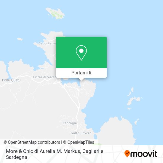 Mappa More & Chic di Aurelia M. Markus