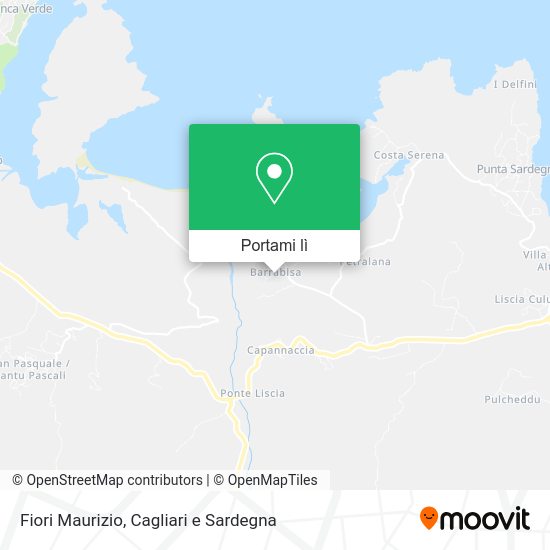 Mappa Fiori Maurizio