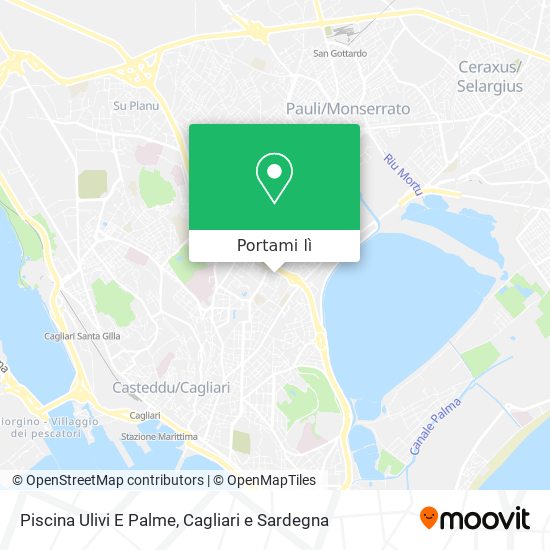 Mappa Piscina Ulivi E Palme