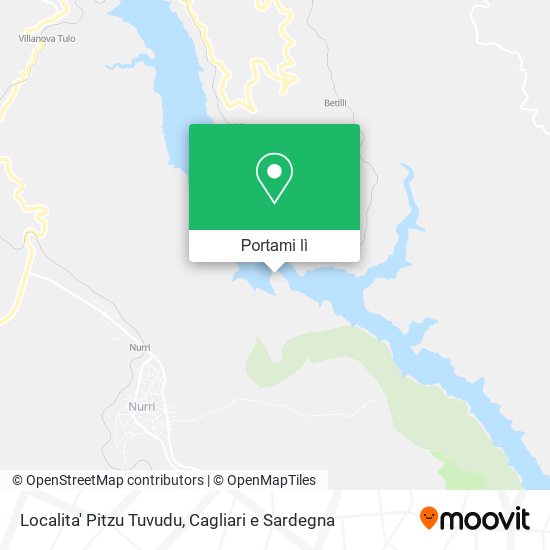 Mappa Localita' Pitzu Tuvudu