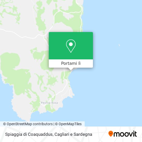 Mappa Spiaggia di Coaquaddus
