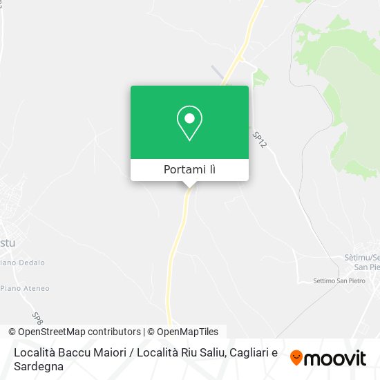 Mappa Località Baccu Maiori / Località Riu Saliu