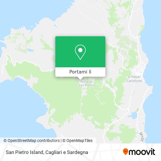 Mappa San Pietro Island