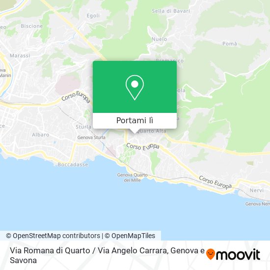 Mappa Via Romana di Quarto / Via Angelo Carrara