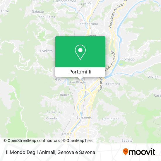 Mappa Il Mondo Degli Animali