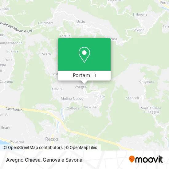 Mappa Avegno Chiesa