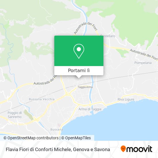 Mappa Flavia Fiori di Conforti Michele