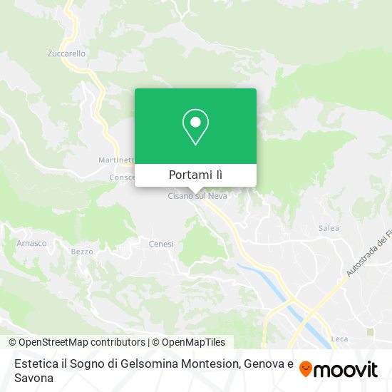 Mappa Estetica il Sogno di Gelsomina Montesion