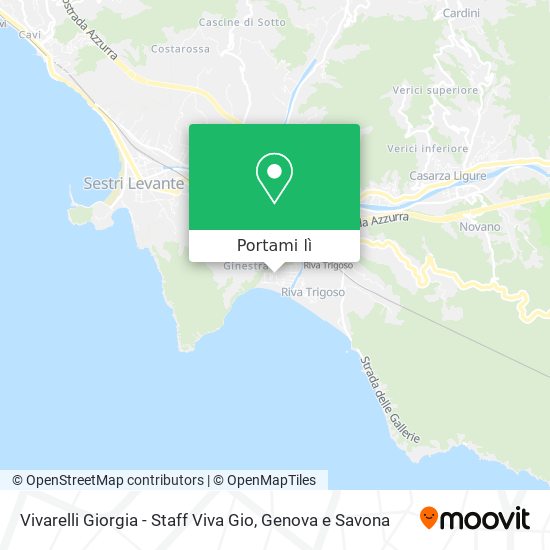 Mappa Vivarelli Giorgia - Staff Viva Gio