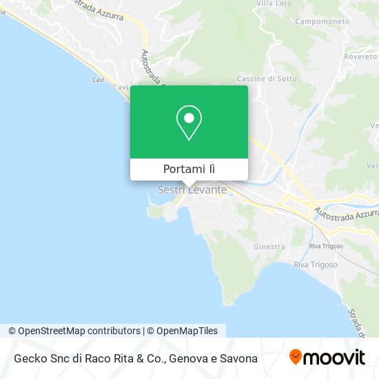 Mappa Gecko Snc di Raco Rita & Co.