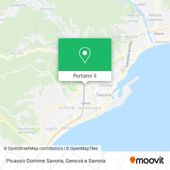 Mappa Picasso Gomme Savona