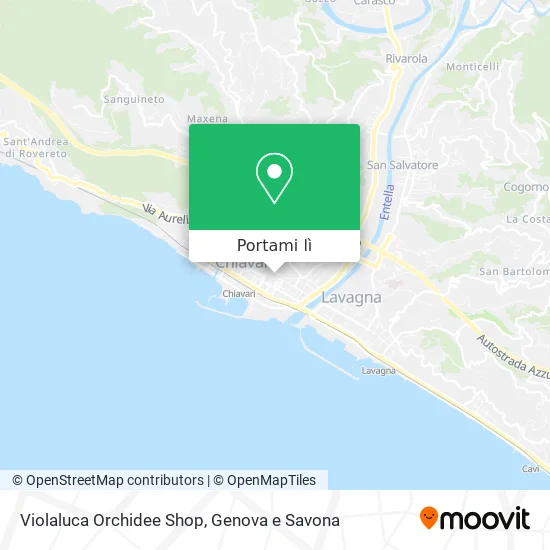 Mappa Violaluca Orchidee Shop