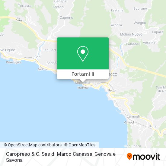 Mappa Caropreso & C. Sas di Marco Canessa