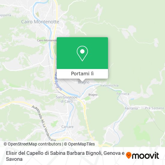 Mappa Elisir del Capello di Sabina Barbara Bignoli