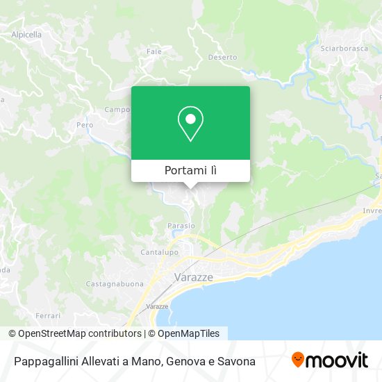 Mappa Pappagallini Allevati a Mano