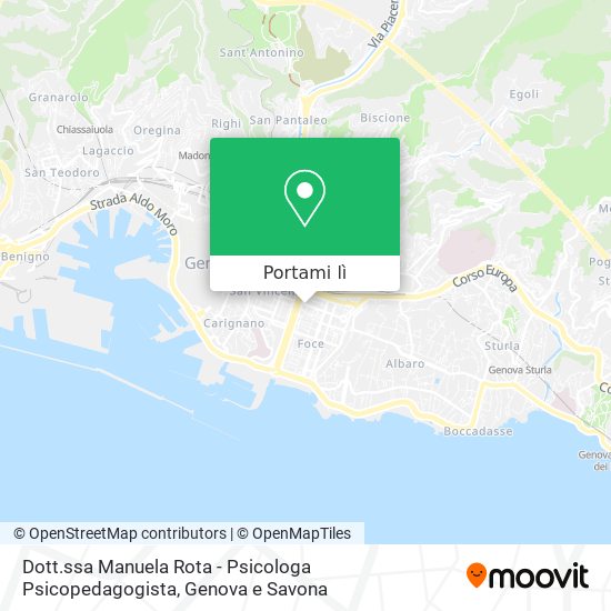 Mappa Dott.ssa Manuela Rota - Psicologa Psicopedagogista