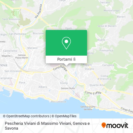 Mappa Pescheria Viviani di Massimo Viviani