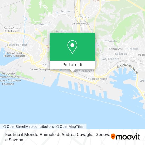 Mappa Exotica il Mondo Animale di Andrea Cavaglià
