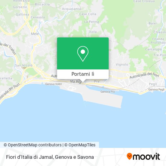 Mappa Fiori d'Italia di Jamal