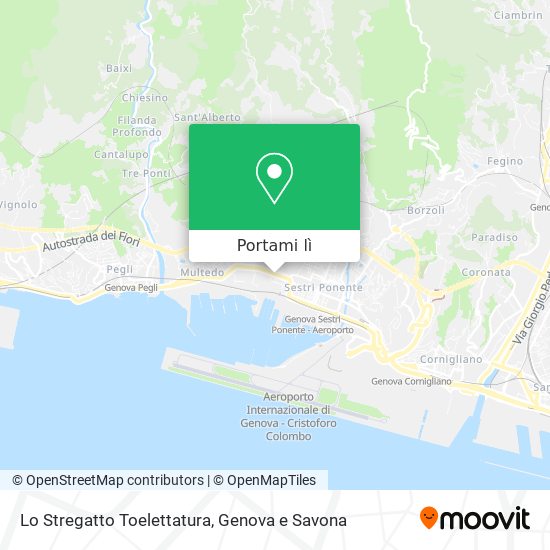 Mappa Lo Stregatto Toelettatura