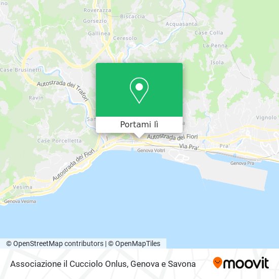 Mappa Associazione il Cucciolo Onlus