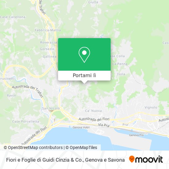 Mappa Fiori e Foglie di Guidi Cinzia & Co.