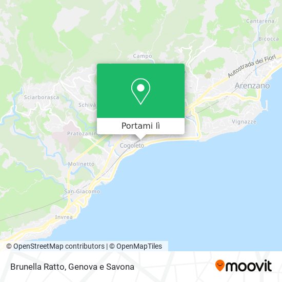 Mappa Brunella Ratto