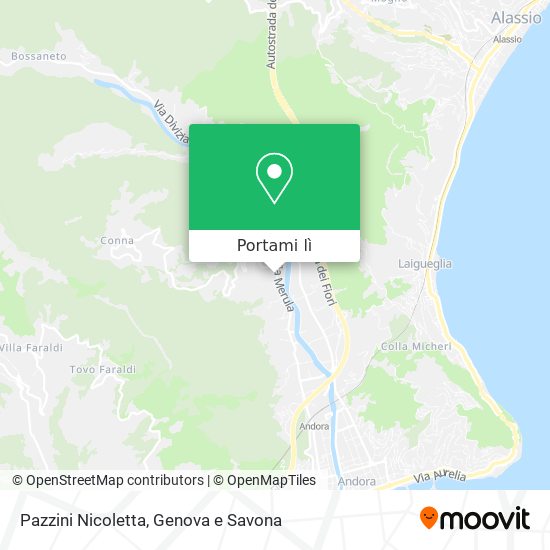 Mappa Pazzini Nicoletta