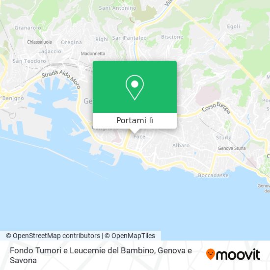 Mappa Fondo Tumori e Leucemie del Bambino