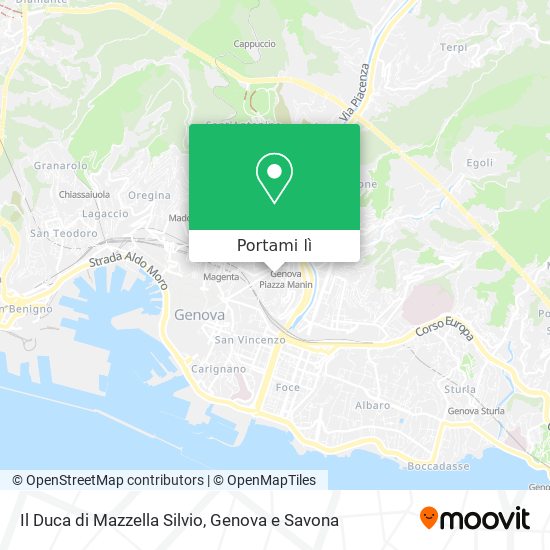 Mappa Il Duca di Mazzella Silvio
