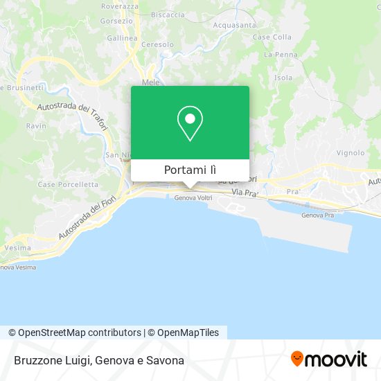 Mappa Bruzzone Luigi