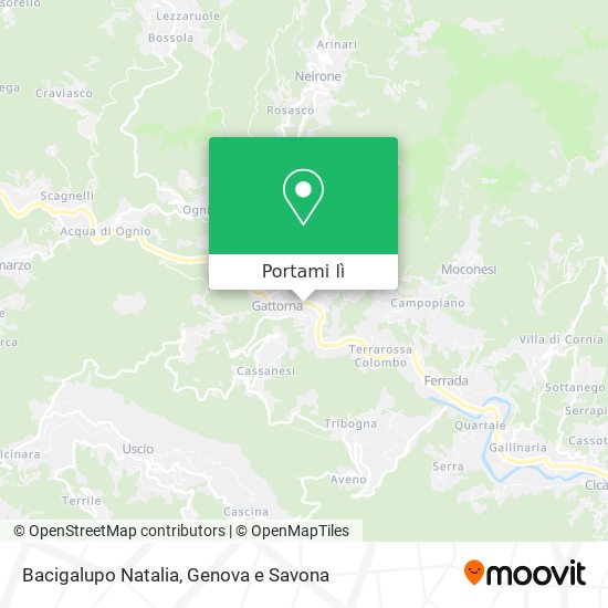 Mappa Bacigalupo Natalia