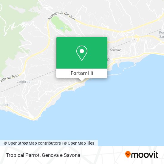 Mappa Tropical Parrot