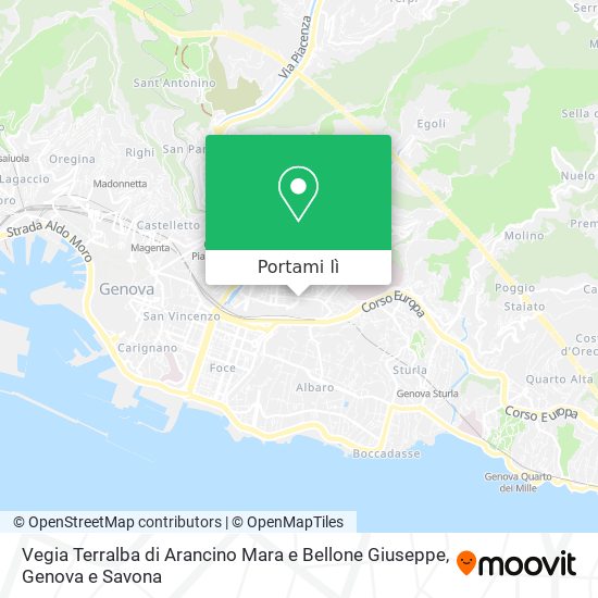 Mappa Vegia Terralba di Arancino Mara e Bellone Giuseppe