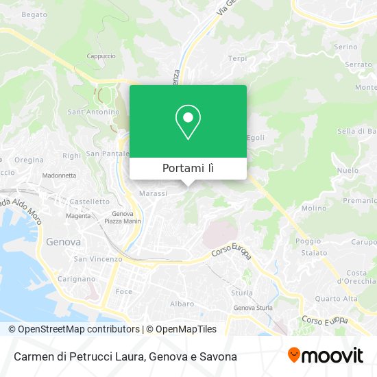 Mappa Carmen di Petrucci Laura