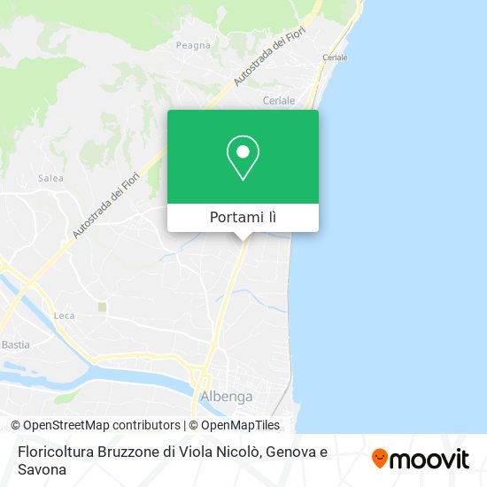 Mappa Floricoltura Bruzzone di Viola Nicolò