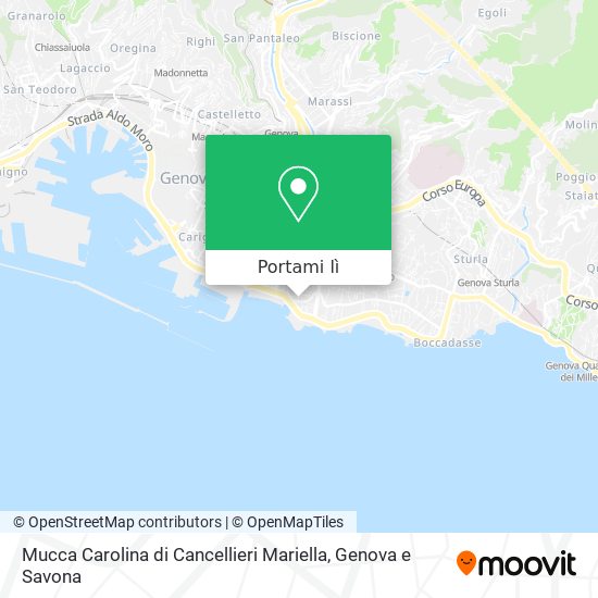 Mappa Mucca Carolina di Cancellieri Mariella