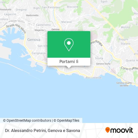 Mappa Dr. Alessandro Petrini