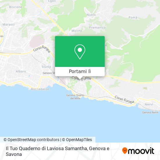 Mappa Il Tuo Quaderno di Laviosa Samantha