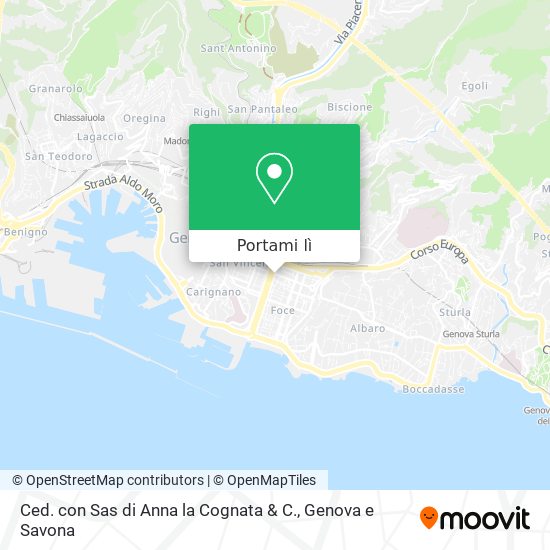 Mappa Ced. con Sas di Anna la Cognata & C.