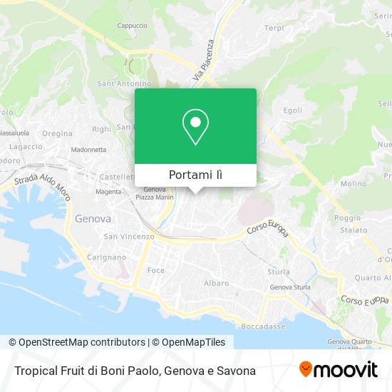 Mappa Tropical Fruit di Boni Paolo