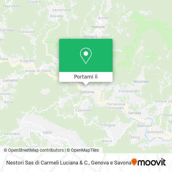 Mappa Nestori Sas di Carmeli Luciana & C.