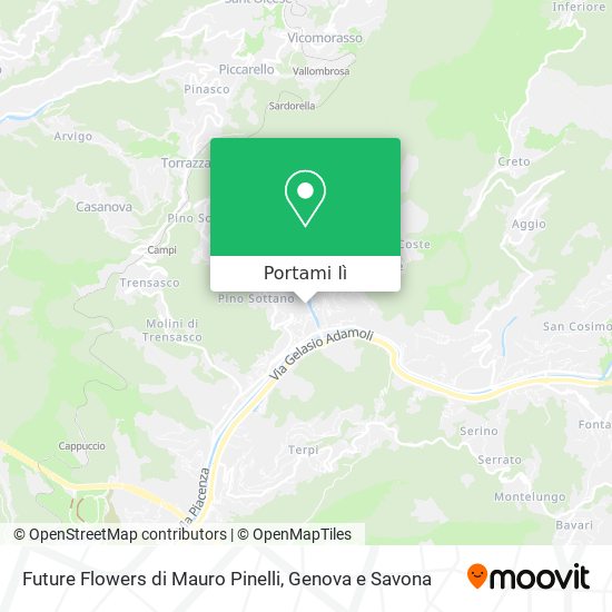 Mappa Future Flowers di Mauro Pinelli