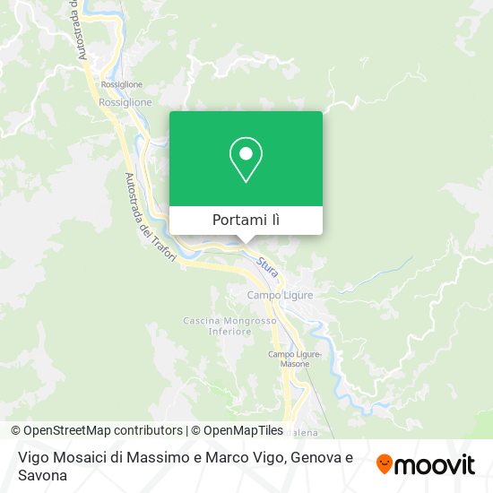 Mappa Vigo Mosaici di Massimo e Marco Vigo