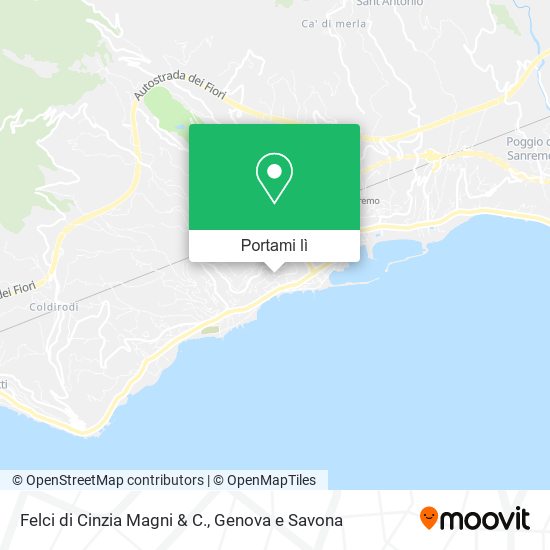 Mappa Felci di Cinzia Magni & C.