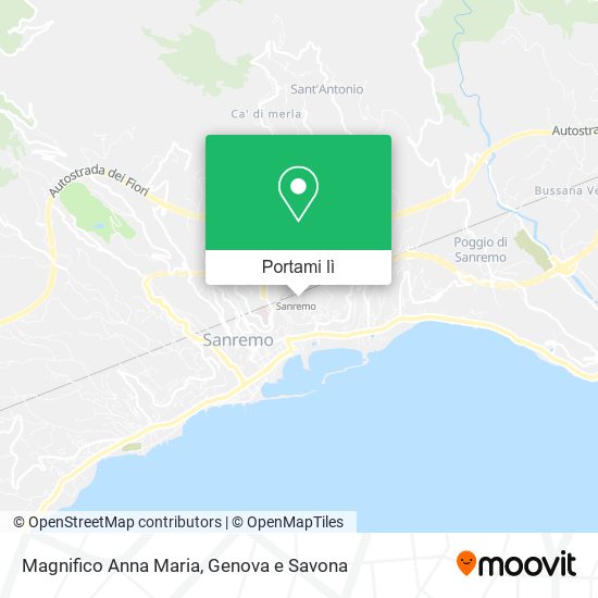 Mappa Magnifico Anna Maria